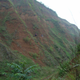 A picture of the site.